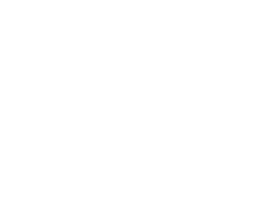 qunnect logo in white